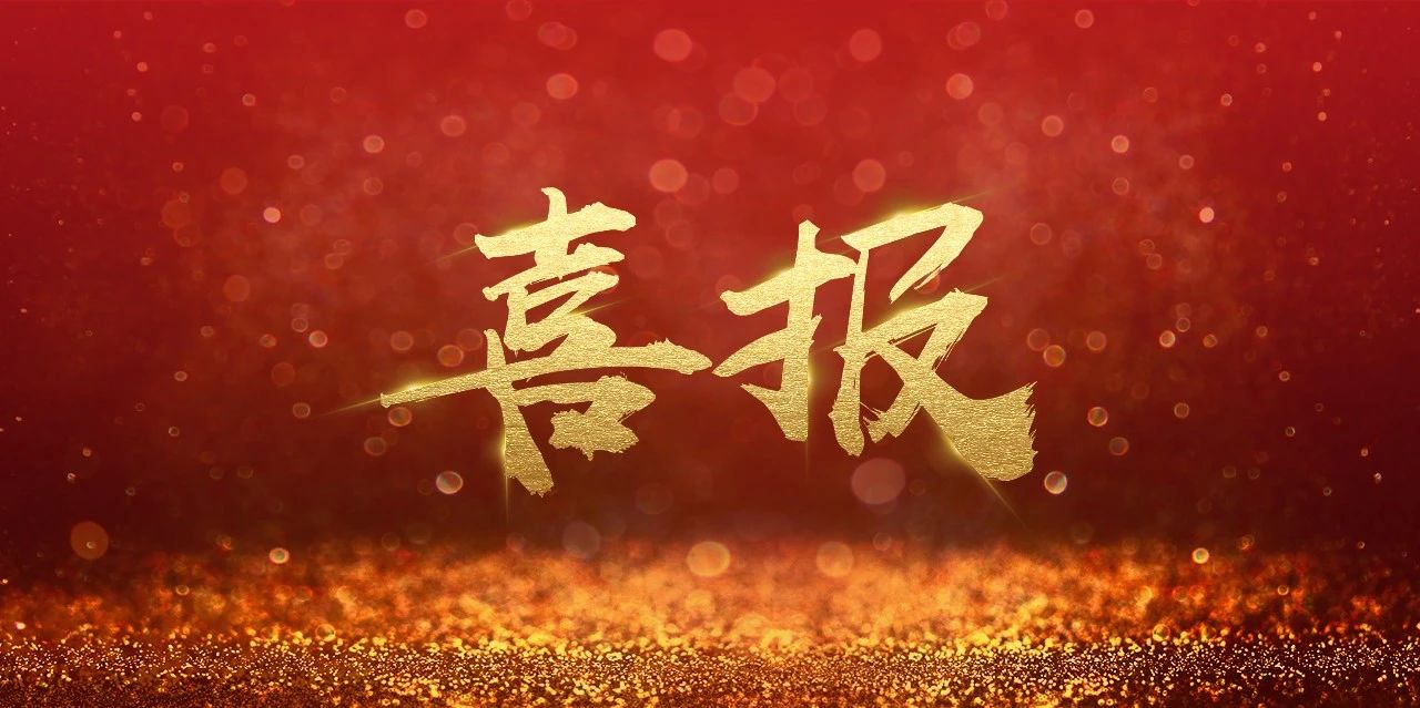 中瑞诚以第一名的优势中标&ldquo;中国宋庆龄基金会2024-2027年入围合作会计师事务所服务采购&rdquo;项目