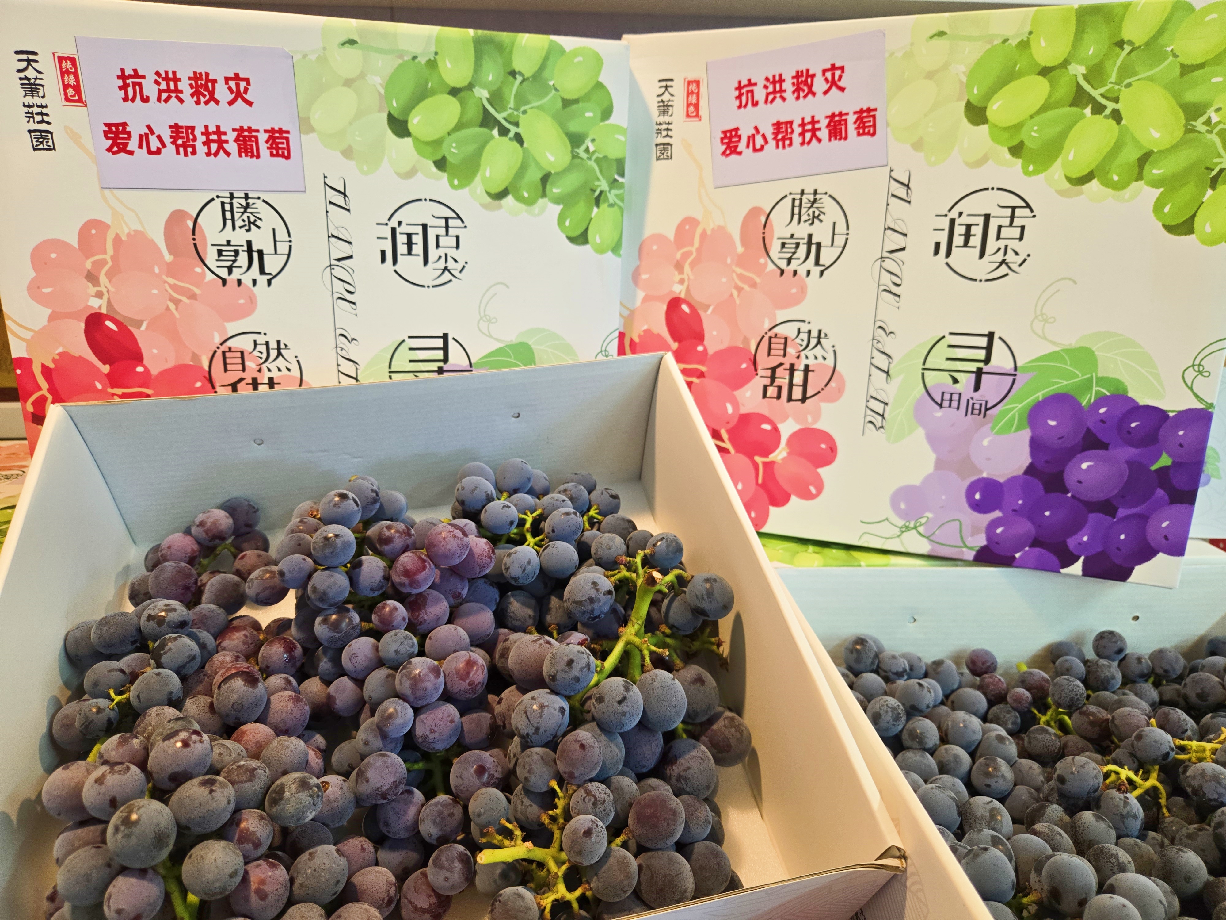 中瑞诚爱心助农&mdash;采购密云巨各庄葡萄助力受灾果农重燃希望